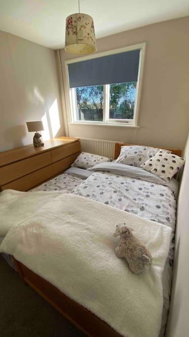 Cheerful 3 Bedroom Bungalow With Indoor Fire Place Gloucester Esterno foto